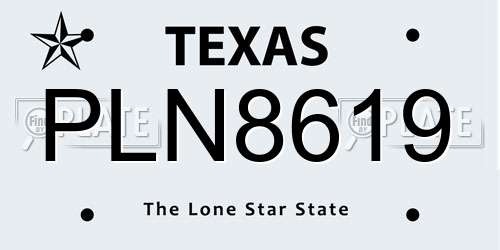 PLN8619 Texas License Plate