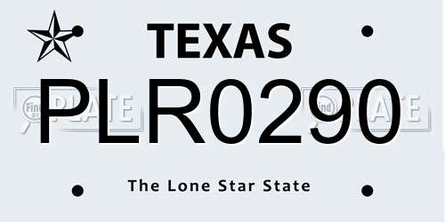 PLR0290 Texas License Plate