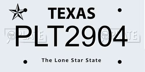 PLT2904 Texas License Plate