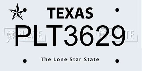 PLT3629 Texas License Plate