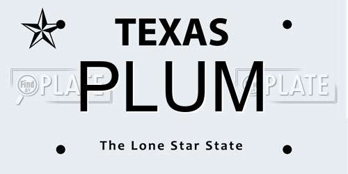 PLUM Texas License Plate