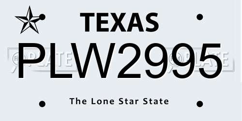 PLW2995 Texas License Plate