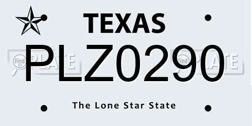 PLZ0290 Texas License Plate