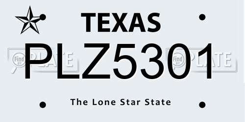 PLZ5301 Texas License Plate