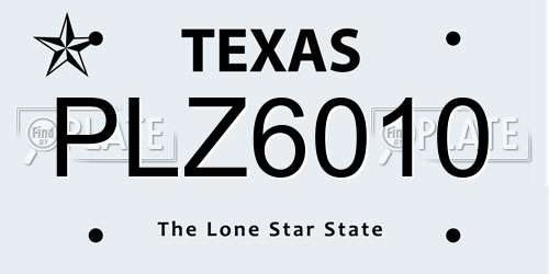 PLZ6010 Texas License Plate