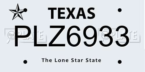 PLZ6933 Texas License Plate