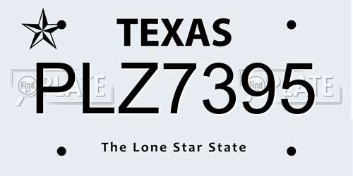 PLZ7395 Texas License Plate