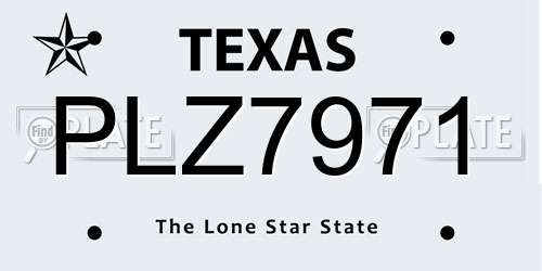 PLZ7971 Texas License Plate