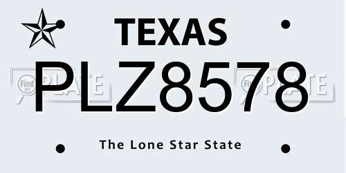 PLZ8578 Texas License Plate