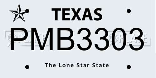 PMB3303 Texas License Plate