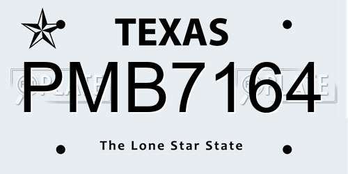 PMB7164 Texas License Plate