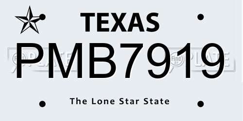 PMB7919 Texas License Plate