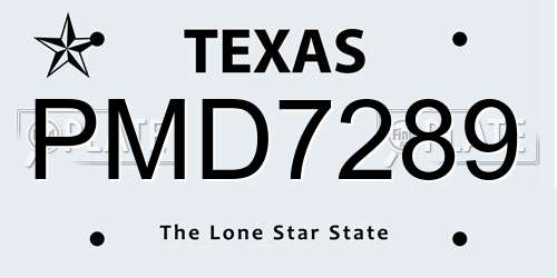 PMD7289 Texas License Plate