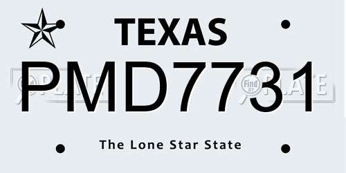 PMD7731 Texas License Plate