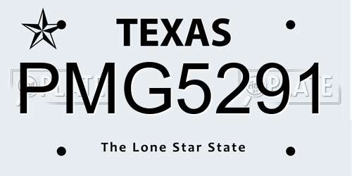 PMG5291 Texas License Plate