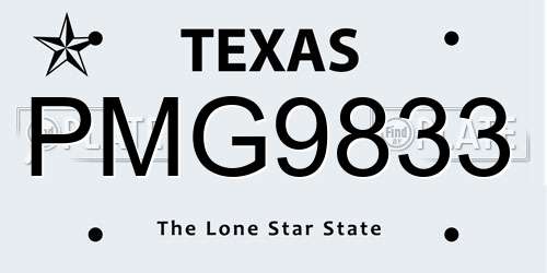 PMG9833 Texas License Plate