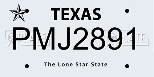PMJ2891 Texas License Plate