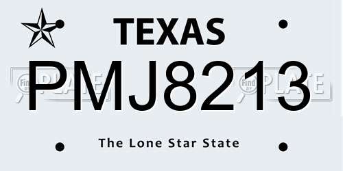 PMJ8213 Texas License Plate