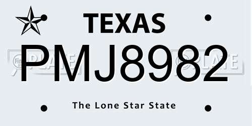 PMJ8982 Texas License Plate