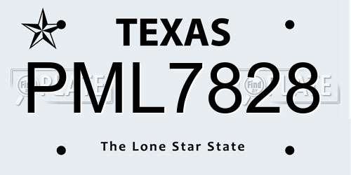 PML7828 Texas License Plate