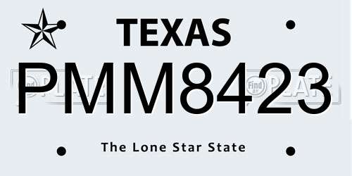PMM8423 Texas License Plate