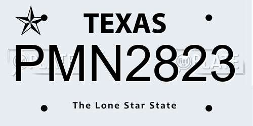 PMN2823 Texas License Plate