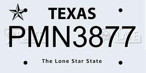PMN3877 Texas License Plate