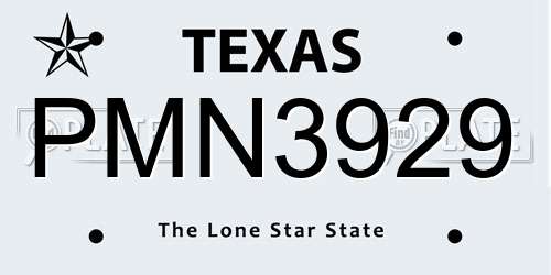 PMN3929 Texas License Plate