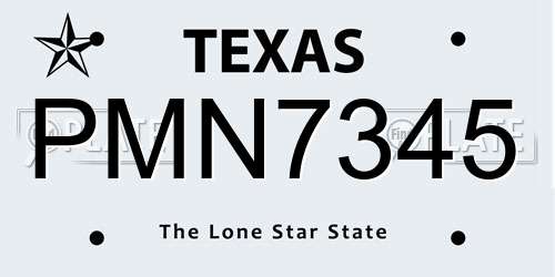 PMN7345 Texas License Plate