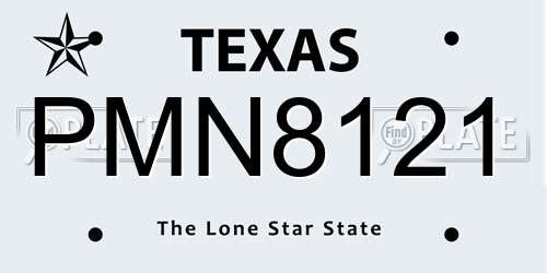 PMN8121 Texas License Plate