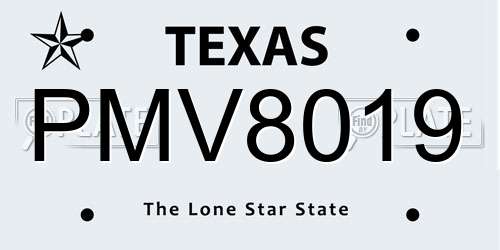 PMV8019 Texas License Plate