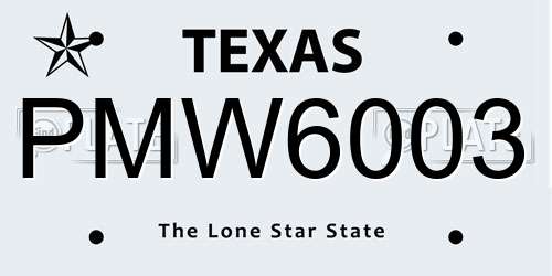 PMW6003 Texas License Plate
