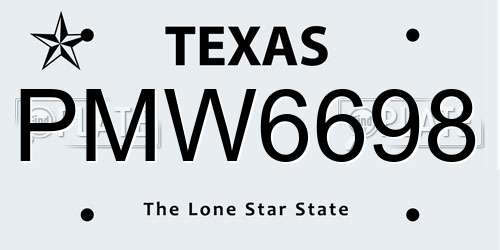 PMW6698 Texas License Plate