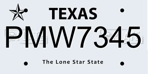 PMW7345 Texas License Plate