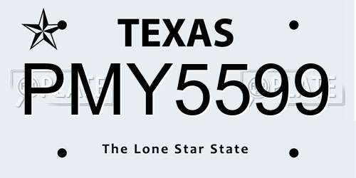PMY5599 Texas License Plate