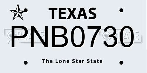 PNB0730 Texas License Plate