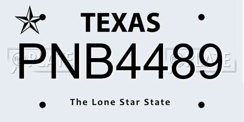 PNB4489 Texas License Plate