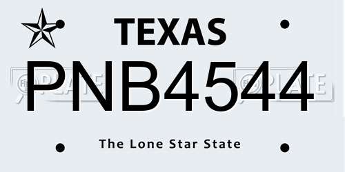 PNB4544 Texas License Plate