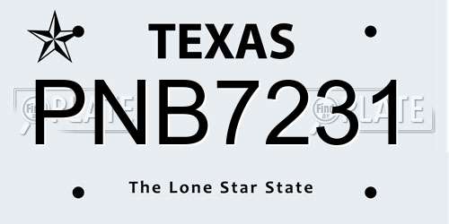 PNB7231 Texas License Plate