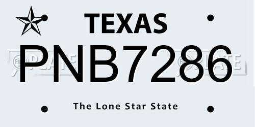 PNB7286 Texas License Plate