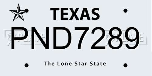 PND7289 Texas License Plate