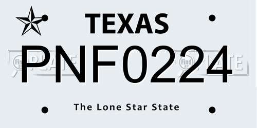 PNF0224 Texas License Plate