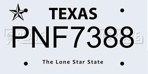 PNF7388 Texas License Plate