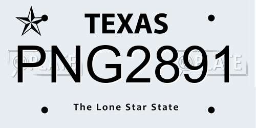 PNG2891 Texas License Plate