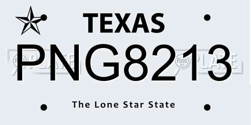 PNG8213 Texas License Plate