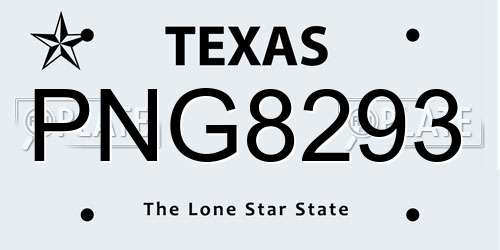PNG8293 Texas License Plate