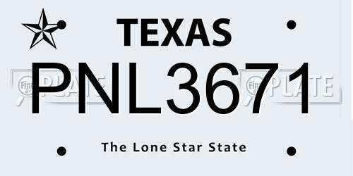 PNL3671 Texas License Plate