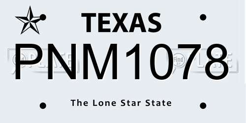 PNM1078 Texas License Plate