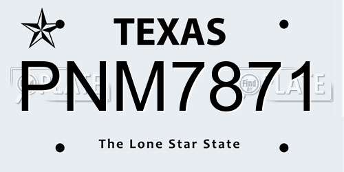PNM7871 Texas License Plate