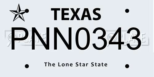 PNN0343 Texas License Plate